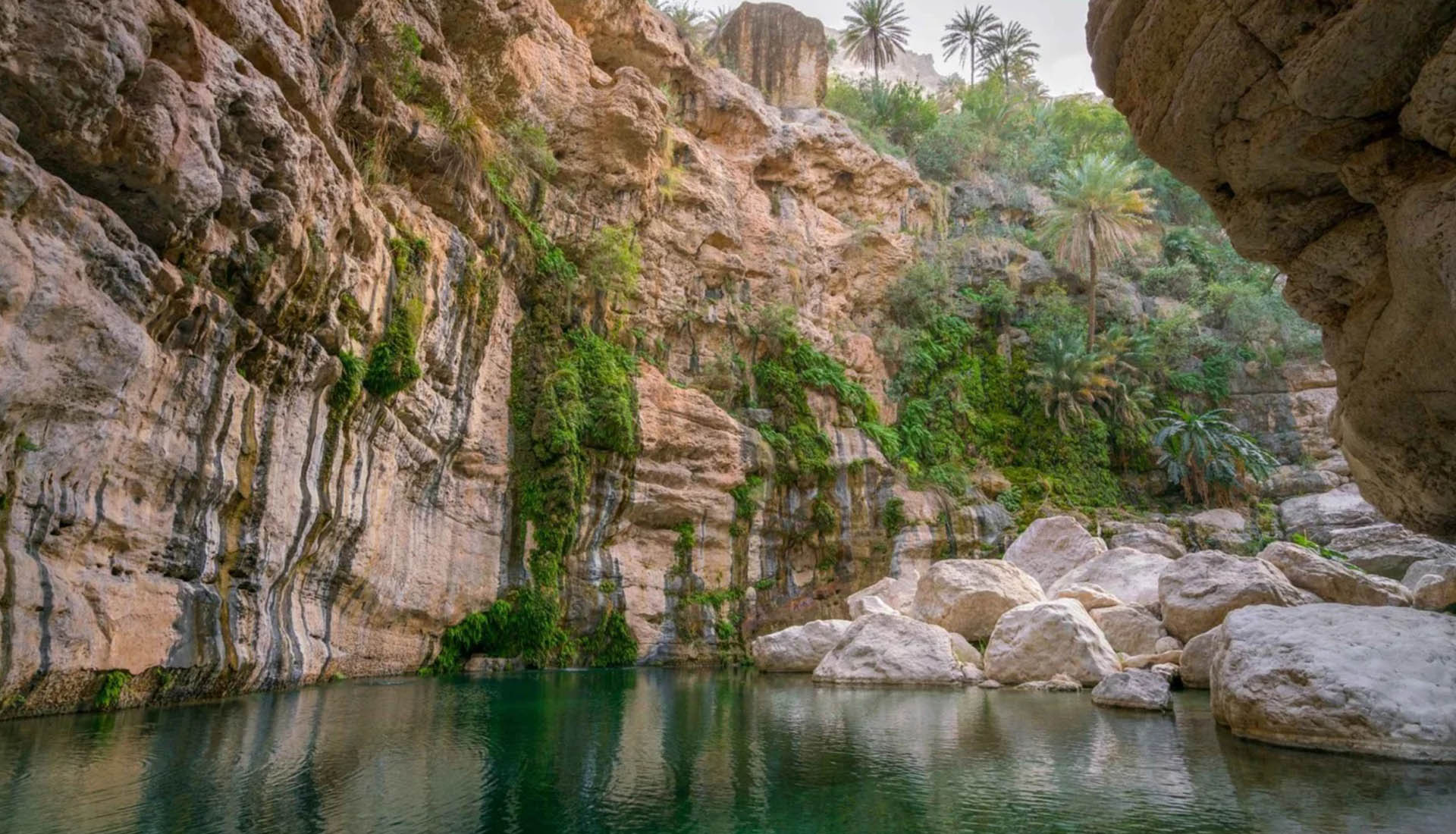 Travel company in Oman