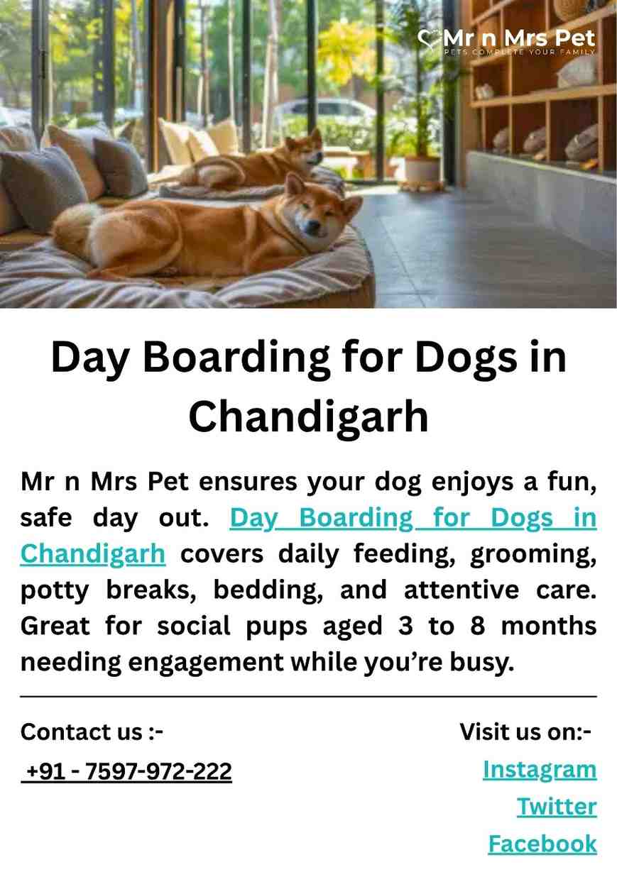 Day Boarding for Dogs in Chandigarh