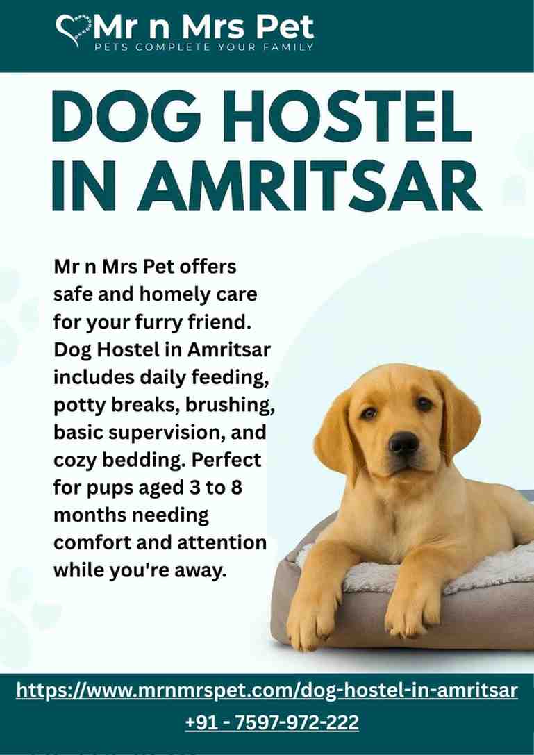 Dog Hostel in Amritsar
