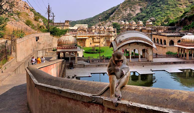 Galtaji Temple in Jaipur, (Rajasthan Devdarshan)