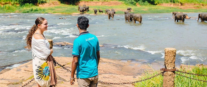 Sri Lanka Holidays Packages Starting from 280 USD - Buy Now