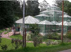 Botanical Garden