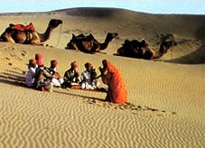 Sunset camel ride on the Sam Sand Dunes