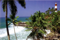 Kovalam Beach 