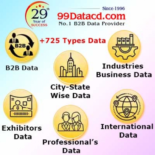 B2B Database Provider