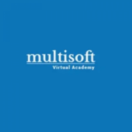 Multisoft Virtual Academy