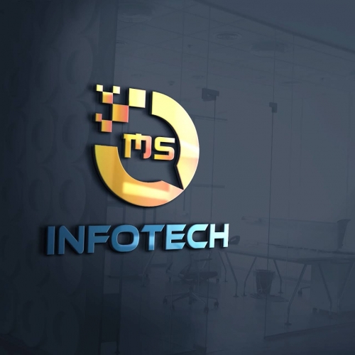 MS Infotech